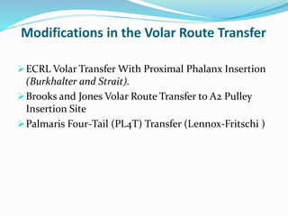 Modifications in the Volar Route Transfer
ECRL Volar Transfer With Proximal Phalanx Insertion
(Burkhalter and Strait).
Brooks and Jones Volar Route Transfer to A2 Pulley
Insertion Site
Palmaris Four-Tail (PL4T) Transfer (Lennox-Fritschi )
 