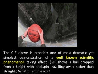 The GIF above is probably one of most dramatic yet
simplest demonstration of a well known scientific
phenomenon taking effect. (GIF shows a ball dropped
from a height with backspin travelling away rather than
straight.) What phenomenon?
 