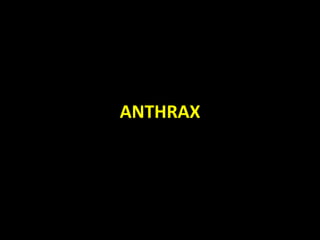 ANTHRAX
 