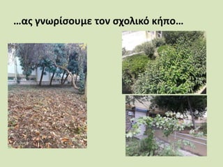 …ας γνωρίσουμε τον σχολικό κήπο…
 