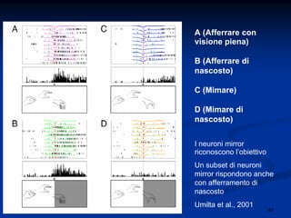 141
A (Afferrare con
visione piena)
B (Afferrare di
nascosto)
C (Mimare)
D (Mimare di
nascosto)
I neuroni mirror
riconoscono l’obiettivo
Un subset di neuroni
mirror rispondono anche
con afferramento di
nascosto
Umilta et al., 2001
 