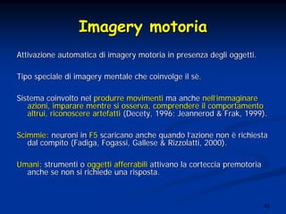43
ImageryImagery motoriamotoria
AttivazioneAttivazione automaticaautomatica di imagerydi imagery motoriamotoria inin presenzapresenza deglidegli oggettioggetti..
TipoTipo specialespeciale di imagerydi imagery mentalementale cheche coinvolgecoinvolge ilil ssèè..
SistemaSistema coinvoltocoinvolto nelnel produrreprodurre movimentimovimenti mama ancheanche nellnell’’immaginareimmaginare
azioniazioni,, imparareimparare mentrementre sisi osservaosserva,, comprenderecomprendere ilil comportamentocomportamento
altruialtrui,, riconoscerericonoscere artefattiartefatti ((DecetyDecety, 1996;, 1996; JeannerodJeannerod && FrakFrak, 1999)., 1999).
ScimmieScimmie:: neuronineuroni inin F5F5 scaricanoscaricano ancheanche quandoquando ll’’azioneazione nonnon èè richiestarichiesta
daldal compitocompito ((FadigaFadiga,, FogassiFogassi, Gallese &, Gallese & RizzolattiRizzolatti, 2000)., 2000).
UmaniUmani:: strumentistrumenti oo oggettioggetti afferrabiliafferrabili attivanoattivano lala cortecciacorteccia premotoriapremotoria
ancheanche se nonse non sisi richiederichiede unauna rispostarisposta..
 