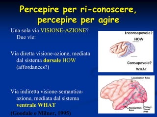 45
PercepirePercepire perper riri--conoscereconoscere,,
percepirepercepire perper agireagire
Una sola via VISIONE-AZIONE?
Due vie:
Via diretta visione-azione, mediata
dal sistema dorsale HOW
(affordances?)
Via indiretta visione-semantica-
azione, mediata dal sistema
ventrale WHAT
(Goodale e Milner, 1995)
Inconsapevole?
HOW
Consapevole?
WHAT
 