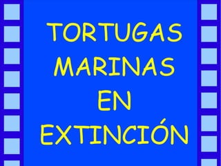 TORTUGAS
 MARINAS
    EN
EXTINCIÓN
 