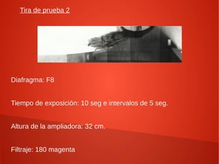 Tira de prueba 2
Diafragma: F8
Tiempo de exposición: 10 seg e intervalos de 5 seg.
Altura de la ampliadora: 32 cm.
Filtraje: 180 magenta
 