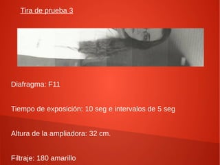 Tira de prueba 3
Diafragma: F11
Tiempo de exposición: 10 seg e intervalos de 5 seg
Altura de la ampliadora: 32 cm.
Filtraje: 180 amarillo
 