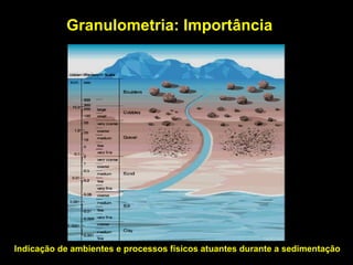 Granulometria: Importância Indicação de ambientes e processos físicos atuantes durante a sedimentação 