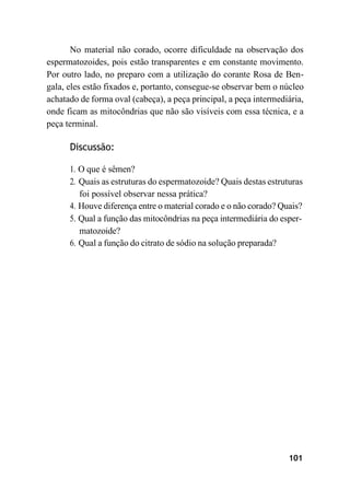 101
No material não corado, ocorre dificuldade na observação dos
espermatozoides, pois estão transparentes e em constante movimento.
Por outro lado, no preparo com a utilização do corante Rosa de Ben-
gala, eles estão fixados e, portanto, consegue-se observar bem o núcleo
achatado de forma oval (cabeça), a peça principal, a peça intermediária,
onde ficam as mitocôndrias que não são visíveis com essa técnica, e a
peça terminal.
Discussão:
1. O que é sêmen?
2. Quais as estruturas do espermatozoide? Quais destas estruturas
foi possível observar nessa prática?
4. Houve diferença entre o material corado e o não corado? Quais?
5. Qual a função das mitocôndrias na peça intermediária do esper-
matozoide?
6. Qual a função do citrato de sódio na solução preparada?
 