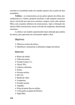 104
arrastam as cromátides-irmãs em sentidos opostos até os polos do fuso
acromático.
Telófase - os cromossomos, já nos polos opostos da célula, des-
condensam-se e voltam a produzir nucléolos. Cada conjunto cromossô-
mico é envolvido por uma nova carioteca; surgem, assim, dois núcleos
filhos com conjuntos idênticos de cromossomos. Após a formação dos
núcleos filhos (cariocinese), ocorre a divisão do citoplasma, denominada
citocinese.
A cebola é um modelo experimental muito utilizado para análise
de mitose, pois apresenta um crescimento rápido e fácil.
Objetivos:
➢ Observar as fases da mitose;
➢ Identificar e caracterizar os diferentes estágios da mitose.
Materiais:
➢ Raízes de cebola;
➢ Tubos de ensaio;
➢ Fixador Carnoy 3:1;
➢ Álcool 70%;
➢ Lâmina e lamínula;
➢ Gilete;
➢ Orceína acética;
➢ HCl 1N;
➢ Bastão de vidro;
➢ Lamparina;
➢ Esmalte incolor;
➢ Algodão;
➢ Pinça de ponta fina ou estilete;
➢ Conta-gotas ou pipeta de Pasteur;
➢ Papel filtro.
 