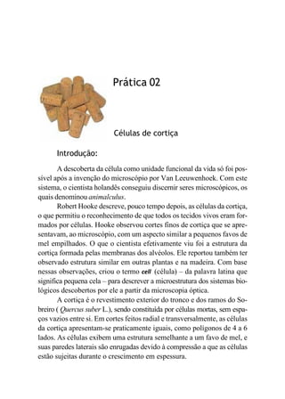Prática 02
Células de cortiça
Introdução:
A descoberta da célula como unidade funcional da vida só foi pos-
sível após a invenção do microscópio por Van Leeuwenhoek. Com este
sistema, o cientista holandês conseguiu discernir seres microscópicos, os
quais denominou animalculus.
Robert Hooke descreve, pouco tempo depois, as células da cortiça,
o que permitiu o reconhecimento de que todos os tecidos vivos eram for-
mados por células. Hooke observou cortes finos de cortiça que se apre-
sentavam, ao microscópio, com um aspecto similar a pequenos favos de
mel empilhados. O que o cientista efetivamente viu foi a estrutura da
cortiça formada pelas membranas dos alvéolos. Ele reportou também ter
observado estrutura similar em outras plantas e na madeira. Com base
nessas observações, criou o termo cell (célula) – da palavra latina que
significa pequena cela – para descrever a microestrutura dos sistemas bio-
lógicos descobertos por ele a partir da microscopia óptica.
A cortiça é o revestimento exterior do tronco e dos ramos do So-
breiro ( Quercus suber L.), sendo constituída por células mortas, sem espa-
ços vazios entre si. Em cortes feitos radial e transversalmente, as células
da cortiça apresentam-se praticamente iguais, como polígonos de 4 a 6
lados. As células exibem uma estrutura semelhante a um favo de mel, e
suas paredes laterais são enrugadas devido à compressão a que as células
estão sujeitas durante o crescimento em espessura.
 