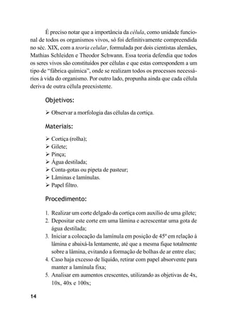 14
É preciso notar que a importância da célula, como unidade funcio-
nal de todos os organismos vivos, só foi definitivamente compreendida
no séc. XIX, com a teoria celular, formulada por dois cientistas alemães,
Mathias Schleiden e Theodor Schwann. Essa teoria defendia que todos
os seres vivos são constituídos por células e que estas correspondem a um
tipo de “fábrica química”, onde se realizam todos os processos necessá-
rios à vida do organismo. Por outro lado, propunha ainda que cada célula
deriva de outra célula preexistente.
Objetivos:
➢ Observar a morfologia das células da cortiça.
Materiais:
➢ Cortiça (rolha);
➢ Gilete;
➢ Pinça;
➢ Água destilada;
➢ Conta-gotas ou pipeta de pasteur;
➢ Lâminas e lamínulas.
➢ Papel filtro.
Procedimento:
1. Realizar um corte delgado da cortiça com auxílio de uma gilete;
2. Depositar este corte em uma lâmina e acrescentar uma gota de
água destilada;
3. Iniciar a colocação da lamínula em posição de 45º em relação à
lâmina e abaixá-la lentamente, até que a mesma fique totalmente
sobre a lâmina, evitando a formação de bolhas de ar entre elas;
4. Caso haja excesso de líquido, retirar com papel absorvente para
manter a lamínula fixa;
5. Analisar em aumentos crescentes, utilizando as objetivas de 4x,
10x, 40x e 100x;
 