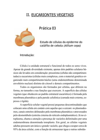 II. EUCARIONTES VEGETAIS
Introdução:
Prática 03
Estudo de células da epiderme do
catáfilo de cebola (Allium cepa)
Célula é a unidade estrutural e funcional de todos os seres vivos.
Apesar da grande diversidade existente, apenas dois padrões celulares bá-
sicos são levados em consideração: procariotas (células não compartimen-
tadas) e eucariotas (células mais complexas, com o material genético or-
ganizado num compartimento/núcleo (uma endomembrana denominada
envoltório nuclear) distinto do citosol e demais compartimentos.
Todos os organismos são formados por células, que diferem na
forma, no tamanho e nas funções que exercem. A superfície das células
vegetais (que obedecem ao padrão estrutural eucariótico) é formada pela
membrana plasmática e pela parede celulósica (camada mais externa, es-
pessa e rígida).
A superfície celular vegetal possui pequenas descontinuidades que
colocam uma célula em contato com aquelas que a cercam: os plasmodes-
mos, canais estreitos delineados pela membrana plasmática e atravessados
pelo desmotúbulo (estreita cisterna do retículo endoplasmático). Já no ci-
toplasma, chama a atenção a presença de vacúolos delimitados por uma
endomembrana denominada tonoplasto. Em geral, as células vegetais
adultas possuem um único e grande vacúolo, que chega a ocupar cerca de
95% da área celular, com a função de armazenar água e outras substân-
 