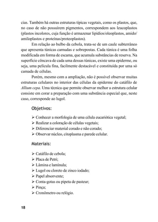 18
cias. Também há outras estruturas típicas vegetais, como os plastos, que,
no caso de não possuírem pigmentos, correspondem aos leucoplastos
(plastos incolores, cuja função é armazenar lipídios/oleoplastos, amido/
amiloplastos e proteínas/proteoplastos).
Em relação ao bulbo da cebola, trata-se de um caule subterrâneo
que apresenta túnicas carnudas e sobrepostas. Cada túnica é uma folha
modificada em forma de escama, que acumula substâncias de reserva. Na
superfície côncava de cada uma dessas túnicas, existe uma epiderme, ou
seja, uma película fina, facilmente destacável e constituída por uma só
camada de células.
Porém, mesmo com a ampliação, não é possível observar muitas
estruturas celulares no interior das células da epiderme do catáfilo de
Allium cepa. Uma técnica que permite observar melhor a estrutura celular
consiste em corar a preparação com uma substância especial que, neste
caso, corresponde ao lugol.
Objetivos:
➢ Conhecer a morfologia de uma célula eucariótica vegetal;
➢ Realizar a coloração de células vegetais;
➢ Diferenciar material corado e não corado;
➢ Observar núcleo, citoplasma e parede celular.
Materiais:
➢ Catáfilo de cebola;
➢ Placa de Petri;
➢ Lâmina e lamínula;
➢ Lugol ou cloreto de zinco iodado;
➢ Papel absorvente;
➢ Conta-gotas ou pipeta de pasteur;
➢ Pinça;
➢ Cronômetro ou relógio.
 