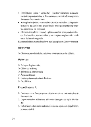 24
• Eritroplastos (eritro = vermelho) – plastos vermelhos, cuja colo-
ração tem predominância de carotenos, encontrados no pimen-
tão vermelho e no tomate;
• Xantoplastos (xanto = amarelo) – plastos amarelos, com predo-
minância de xantofilas, encontrados principalmente no pimen-
tão amarelo e na cenoura;
• Cloroplastos (cloro = verde) – plastos verdes, com predominân-
cia de clorofilas, encontrados, por exemplo, no pimentão verde
e nas folhas de vegetais.
Existemaindaosplastosincoloreseosleucoplastos(leuco=branco).
Objetivos:
➢ Observar parede celular, núcleo e cromoplastos das células.
Materiais:
➢ Pedaços de pimentão;
➢ Gilete ou estilete;
➢ 2 lâminas e 2 lamínulas;
➢ Água destilada;
➢ Conta-gotas ou pipeta de Pasteur;
➢ Papel filtro.
Procedimento A:
1. Fazer um corte fino, pequeno e transparente na casca do pimen-
tão amarelo;
2. Depositar sobre a lâmina e adicionar uma gota de água destila-
da;
3. Cobrir com a lamínula (retirar excesso de água com papel filtro,
se necessário);
 