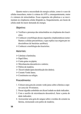 58
Quanto maior a necessidade de energia celular, como é o caso de
células musculares, maior é a síntese de ATP e, consequentemente, maior
é o número de mitocôndrias. Essas organelas são plásticas e se movi-
mentam no citoplasma celular dirigindo-se, frequentemente, aos locais da
célula onde há maior demanda de energia.
Objetivo:
➢ Verificar a presença das mitocôndrias no citoplasma dos leucó-
citos;
➢ Conhecer a morfologia dessas organelas citoplasmáticas (seme-
lhantes a células procarióticas, o que explica sua origem por en-
dossimbiose de bactérias aeróbias);
➢ Conhecer a morfologia dos leucócitos.
Materiais:
➢ Lâminas e lamínulas;
➢ Papel filtro;
➢ Conta-gotas ou pipeta;
➢ Microlancetas descartáveis e estéreis;
➢ Palitos de madeira;
➢ Álcool iodado (para desinfecção dos dedos);
➢ Corante Verde Janus;
➢ Cronômetro ou relógio.
Procedimento:
1. Colocar uma gota do corante verde janus sobre a lâmina e espe-
rar cerca de 10 minutos;
2. Passar algodão embebido em álcool iodado no dedo indicador;
3. Com o auxílio de microlanceta descartável, furar a ponta do
dedo indicador;
4. Acrescentar uma gota de sangue sobre o resíduo do corante na
lâmina, misturando com palito de madeira;
 