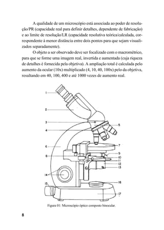 8
A qualidade de um microscópio está associada ao poder de resolu-
ção/PR (capacidade real para definir detalhes, dependente de fabricação)
e ao limite de resolução/LR (capacidade resolutiva teórica/calculada, cor-
respondente à menor distância entre dois pontos para que sejam visuali-
zados separadamente).
O objeto a ser observado deve ser focalizado com o macrométrico,
para que se forme uma imagem real, invertida e aumentada (cuja riqueza
de detalhes é fornecida pela objetiva). A ampliação total é calculada pelo
aumento da ocular (10x) multiplicado (4, 10, 40, 100x) pelo da objetiva,
resultando em 40, 100, 400 e até 1000 vezes de aumento real.
Figura 01: Microscópio óptico composto binocular.
 