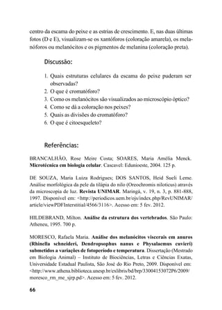 66
centro da escama do peixe e as estrias de crescimento. E, nas duas últimas
fotos (D e E), visualizam-se os xantóforos (coloração amarela), os mela-
nóforos ou melanócitos e os pigmentos de melanina (coloração preta).
Discussão:
1. Quais estruturas celulares da escama do peixe puderam ser
observadas?
2. O que é cromatóforo?
3. Como os melanócitos são visualizados ao microscópio óptico?
4. Como se dá a coloração nos peixes?
5. Quais as divisões do cromatóforo?
6. O que é citoesqueleto?
Referências:
BRANCALHÃO, Rose Meire Costa; SOARES, Maria Amélia Menck.
Microtécnica em biologia celular. Cascavel: Edunioeste, 2004. 125 p.
DE SOUZA, Maria Luiza Rodrigues; DOS SANTOS, Heid Sueli Leme.
Análise morfológica da pele da tilápia do nilo (Oreochromis niloticus) através
da microscopia de luz. Revista UNIMAR. Maringá, v. 19, n. 3, p. 881-888,
1997. Disponível em: <http://periodicos.uem.br/ojs/index.php/RevUNIMAR/
article/viewPDFInterstitial/4566/3116>. Acesso em: 5 fev. 2012.
HILDEBRAND, Milton. Análise da estrutura dos vertebrados. São Paulo:
Atheneu, 1995. 700 p.
MORESCO, Rafaela Maria. Análise dos melanócitos viscerais em anuros
(Rhinella schneideri, Dendropsophus nanus e Physalaemus cuvieri)
submetidos a variações de fotoperíodo e temperatura. Dissertação (Mestrado
em Biologia Animal) – Instituto de Biociências, Letras e Ciências Exatas,
Universidade Estadual Paulista, São José do Rio Preto, 2009. Disponível em:
<http://www.athena.biblioteca.unesp.br/exlibris/bd/brp/33004153072P6/2009/
moresco_rm_me_sjrp.pd>. Acesso em: 5 fev. 2012.
 