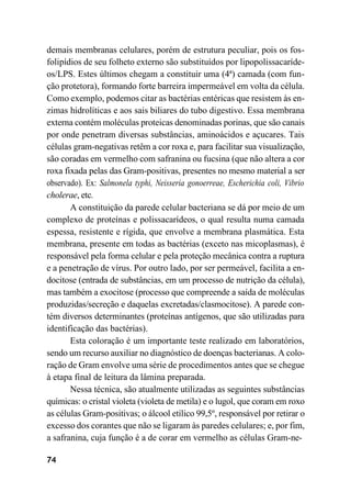 74
demais membranas celulares, porém de estrutura peculiar, pois os fos-
folipídios de seu folheto externo são substituídos por lipopolissacaríde-
os/LPS. Estes últimos chegam a constituir uma (4ª) camada (com fun-
ção protetora), formando forte barreira impermeável em volta da célula.
Como exemplo, podemos citar as bactérias entéricas que resistem às en-
zimas hidrolíticas e aos sais biliares do tubo digestivo. Essa membrana
externa contém moléculas proteicas denominadas porinas, que são canais
por onde penetram diversas substâncias, aminoácidos e açucares. Tais
células gram-negativas retêm a cor roxa e, para facilitar sua visualização,
são coradas em vermelho com safranina ou fucsina (que não altera a cor
roxa fixada pelas das Gram-positivas, presentes no mesmo material a ser
observado). Ex: Salmonela typhi, Neisseria gonoerreae, Escherichia coli, Vibrio
cholerae, etc.
A constituição da parede celular bacteriana se dá por meio de um
complexo de proteínas e polissacarídeos, o qual resulta numa camada
espessa, resistente e rígida, que envolve a membrana plasmática. Esta
membrana, presente em todas as bactérias (exceto nas micoplasmas), é
responsável pela forma celular e pela proteção mecânica contra a ruptura
e a penetração de vírus. Por outro lado, por ser permeável, facilita a en-
docitose (entrada de substâncias, em um processo de nutrição da célula),
mas também a exocitose (processo que compreende a saída de moléculas
produzidas/secreção e daquelas excretadas/clasmocitose). A parede con-
tém diversos determinantes (proteínas antígenos, que são utilizadas para
identificação das bactérias).
Esta coloração é um importante teste realizado em laboratórios,
sendo um recurso auxiliar no diagnóstico de doenças bacterianas. A colo-
ração de Gram envolve uma série de procedimentos antes que se chegue
à etapa final de leitura da lâmina preparada.
Nessa técnica, são atualmente utilizadas as seguintes substâncias
químicas: o cristal violeta (violeta de metila) e o lugol, que coram em roxo
as células Gram-positivas; o álcool etílico 99,5º, responsável por retirar o
excesso dos corantes que não se ligaram às paredes celulares; e, por fim,
a safranina, cuja função é a de corar em vermelho as células Gram-ne-
 