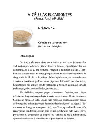 V. CÉLULAS EUCARIONTES
(Reinos Fungi e Protista)
Prática 14
Células de levedura em
fermento biológico
Introdução:
Os fungos são seres vivos eucariontes, unicelulares (como as le-
veduras) ou pluricelulares (filamentosos ou bolores, cujos filamentos são
denominados hifas e, em conjunto, recebem o nome de micélio). Tam-
bém são denominados talófitos, por possuírem talos (corpo vegetativo de
fungos, destituído de caule, raiz ou folhas legítimas) e por serem despro-
vidos de clorofila ou qualquer outro pigmento fotossintético. São, ainda,
heterótrofos; não contêm tecido verdadeiro e possuem coloração variada
(esbranquiçados, avermelhados, pretos, etc.).
São divididos em quatro grupos: Ascomycota, Basidiomycotas, Zigo-
micota e os fungos de reprodução incerta, denominados Deuteromycetos.
Quanto ao modo de vida, podem ser: parasitas, quando causam danos
ao hospedeiro animal (doenças denominadas de micoses) ou vegetal (do-
enças como ferrugem, verrugose, etc.); saprófitas, quando utilizam maté-
ria orgânica em decomposição para retirar substâncias nutritivas, como,
por exemplo, “cogumelos de chapéu” ou “orelhas de pau”; e simbiontes,
quando se associam à cianobactérias para formar os liquens.
 