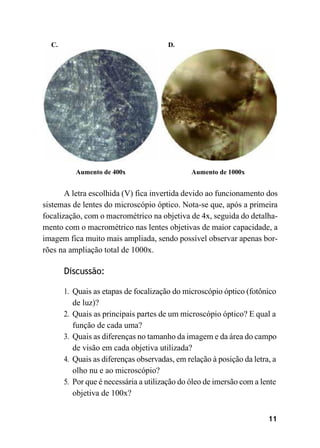 11
C. D.
Aumento de 400x Aumento de 1000x
A letra escolhida (V) fica invertida devido ao funcionamento dos
sistemas de lentes do microscópio óptico. Nota-se que, após a primeira
focalização, com o macrométrico na objetiva de 4x, seguida do detalha-
mento com o macrométrico nas lentes objetivas de maior capacidade, a
imagem fica muito mais ampliada, sendo possível observar apenas bor-
rões na ampliação total de 1000x.
Discussão:
1. Quais as etapas de focalização do microscópio óptico (fotônico
de luz)?
2. Quais as principais partes de um microscópio óptico? E qual a
função de cada uma?
3. Quais as diferenças no tamanho da imagem e da área do campo
de visão em cada objetiva utilizada?
4. Quais as diferenças observadas, em relação à posição da letra, a
olho nu e ao microscópio?
5. Por que é necessária a utilização do óleo de imersão com a lente
objetiva de 100x?
 