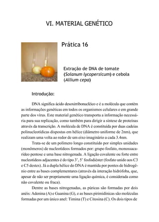 VI. MATERIAL GENÉTICO
Prática 16
Extração de DNA de tomate
(Solanum lycopersicum) e cebola
(Allium cepa)
Introdução:
DNA significa ácido desoxirribonucléico e é a molécula que contém
as informações genéticas em todos os organismos celulares e em grande
parte dos vírus. Este material genético transporta a informação necessá-
ria para sua replicação, como também para dirigir a síntese de proteínas
através da transcrição. A molécula de DNA é constituída por duas cadeias
polinucleotídicas dispostas em hélice (diâmetro uniforme de 2nm), que
realizam uma volta ao redor de um eixo imaginário a cada 3.4nm.
Trata-se de um polímero longo constituído por simples unidades
(monômeros) de nucleotídeos formados por: grupo fosfato, monossaca-
rídeo pentose e uma base nitrogenada. A ligação covalente ou forte entre
nucleotídeos adjacentes é do tipo 3’, 5’ fosfodiéster (fosfato unido aos C3
e C5 destes). Já a dupla hélice do DNA é mantida por pontes de hidrogê-
nio entre as bases complementares (através da interação hidrófoba, que,
apesar de não ser propriamente uma ligação química, é considerada como
não covalente ou fraca).
Dentre as bases nitrogenadas, as púricas são formadas por dois
anéis: Adenina (A) e Guanina (G), e as bases pirimidínicas são moléculas
formadas por um único anel: Timina (T) e Citosina (C). Os dois tipos de
 