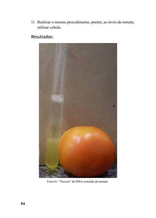 94
11. Realizar o mesmo procedimento, porém, ao invés do tomate,
utilizar cebola.
Resultados:
Foto 01: “Nuvem” de DNA extraído do tomate.
 