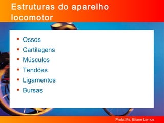 Estruturas do aparelho locomotor Ossos Cartilagens Músculos Tendões Ligamentos Bursas 
