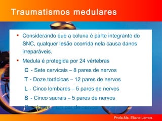 Traumatismos medulares Considerando que a coluna é parte integrante do SNC, qualquer lesão ocorrida nela causa danos irreparáveis. Medula é protegida por 24 vértebras C  - Sete cervicais – 8 pares de nervos T  - Doze torácicas – 12 pares de nervos L  - Cinco lombares – 5 pares de nervos S  - Cinco sacrais – 5 pares de nervos Coccígeas – um par de nervos 