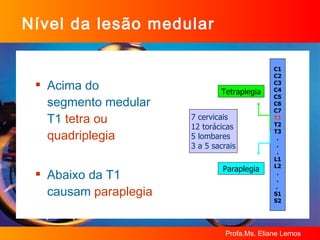 Nível da lesão medular Acima do segmento medular T1  tetra ou quadriplegia Abaixo da T1 causam  paraplegia 7 cervicais 12 torácicas 5 lombares 3 a 5 sacrais C1 C2 C3 C4 C5 C6 C7 T1 T2 T3 . . . L1 L2 . . .  S1 S2 Tetraplegia Paraplegia 