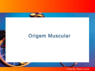 Origem Muscular 