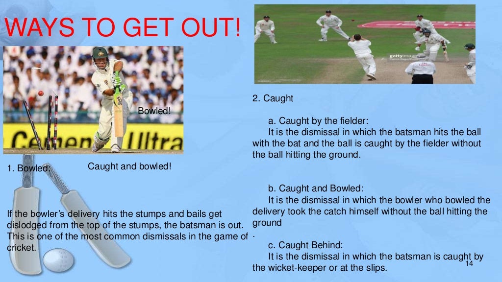 Introduction to the Game of Cricket