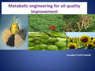 Metabolic engineering for oil quality
           improvement




                             Pusadkar Pratik Prabodh
 