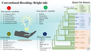 Breeding for salt tolerance in rice: Phenomics and genomics | PPTX