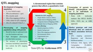 Breeding for salt tolerance in rice: Phenomics and genomics | PPTX