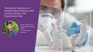 Pratik Thakkar, Ph.D.
Postdoctoral Research
Fellow
The University of
Auckland
Therapeutic Relevance of
Elevated Blood Pressure After
Ischemic Stroke in the
Hypertensive Rats
 