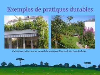 Exemples de pratiques durables Culture des raisins sur les murs de la maison et d’autres fruits dans les haies 