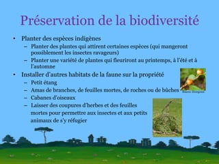 Préservation de la biodiversité Planter des espèces indigènes Planter des plantes qui attirent certaines espèces (qui mangeront possiblement les insectes ravageurs) Planter une variété de plantes qui fleuriront au printemps, à l’été et à l’automne Installer d’autres habitats de la faune sur la propriété Petit étang Amas de branches, de feuilles mortes, de roches ou de bûches Cabanes d’oiseaux Laisser des coupures d’herbes et des feuilles  mortes pour permettre aux insectes et aux petits  animaux de s’y réfugier Source: Evergreen 