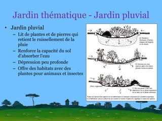 Jardin thématique - Jardin pluvial Jardin pluvial Lit de plantes et de pierres qui retient le ruissellement de la pluie Renforce la capacité du sol d’absorber l’eau Dépression peu profonde Offre des habitats avec des plantes pour animaux et insectes Source : SCHL 