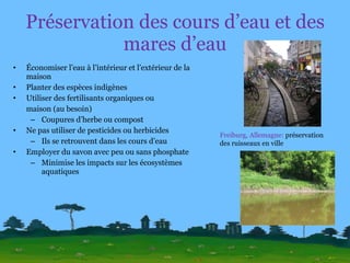 Préservation des cours d’eau et des mares d’eau Économiser l’eau à l’intérieur et l’extérieur de la maison Planter des espèces indigènes Utiliser des fertilisants organiques ou maison (au besoin) Coupures d’herbe ou compost Ne pas utiliser de pesticides ou herbicides Ils se retrouvent dans les cours d’eau Employer du savon avec peu ou sans phosphate Minimise les impacts sur les écosystèmes aquatiques Freiburg, Allemagne:  préservation des ruisseaux en ville 