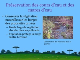 Préservation des cours d’eau et des mares d’eau Conserver la végétation naturelle sur les berges des propriétés privées Bande large de végétation absorbe bien les polluants Végétation protège la berge contre l’érosion Conservation des ruisseaux dans le quartier 