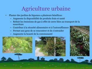 Agriculture urbaine Planter des jardins de légumes a plusieurs bénéfices: Augmente la disponibilité de produits frais et santé Réduit les émissions de gaz à effet de serre liées au transport de la nourriture Contribue à la sécurité alimentaire et à l’autosuffisance Permet aux gens de se rencontrer et de s’entraider Augmente la beauté de la communauté 