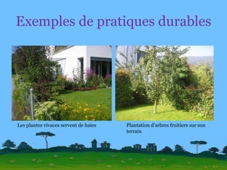 Exemples de pratiques durables Les plantes vivaces servent de haies Plantation d’arbres fruitiers sur son terrain 