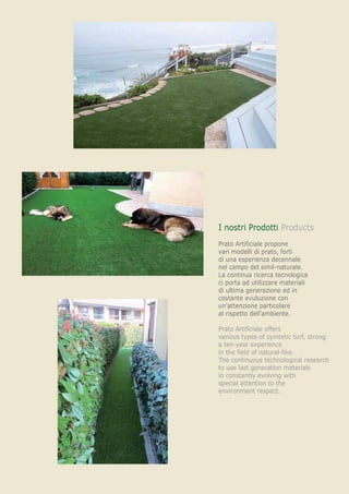 I nostri Prodotti Products
Prato Artificiale propone
vari modelli di prato, forti
di una esperienza decennale
nel campo del simil-naturale.
La continua ricerca tecnologica
ci porta ad utilizzare materiali
di ultima generazione ed in
costante evuluzione con
un’attenzione particolare
al rispetto dell’ambiente.

Prato Artificiale offers
various types of symtetic turf, strong
a ten-year experience
in the field of natural-like.
The continuous technological research
to use last generation materials
in constantly evolving with
special attention to the
environment respect.
 