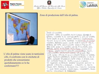 Zone di produzione dell’olio di palma.
L’olio di palma viene usato in tantissimi
cibi, il confronto con le etichette di
prodotti che consumiamo
quotidianamente ce lo ha
confermato!!!!
 