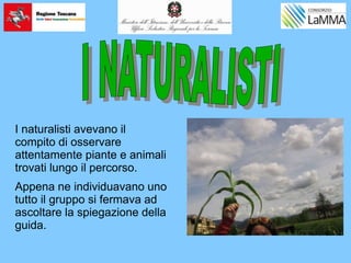 I naturalisti avevano il
compito di osservare
attentamente piante e animali
trovati lungo il percorso.
Appena ne individuavano uno
tutto il gruppo si fermava ad
ascoltare la spiegazione della
guida.
 