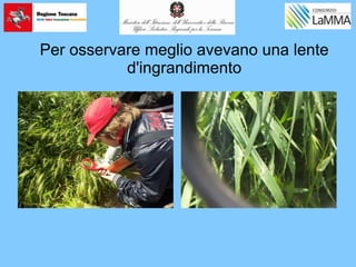 Per osservare meglio avevano una lente
d'ingrandimento
 