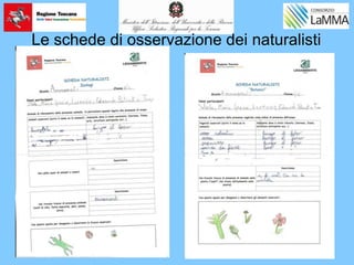Le schede di osservazione dei naturalisti
 