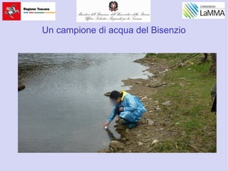 Un campione di acqua del Bisenzio
 