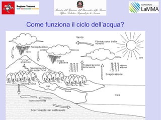 Come funziona il ciclo dell’acqua?
 