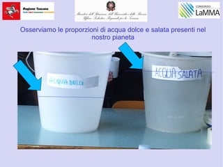 Osserviamo le proporzioni di acqua dolce e salata presenti nel
nostro pianeta
 